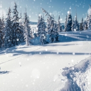 Spuren im Schnee bei Winterwanderung